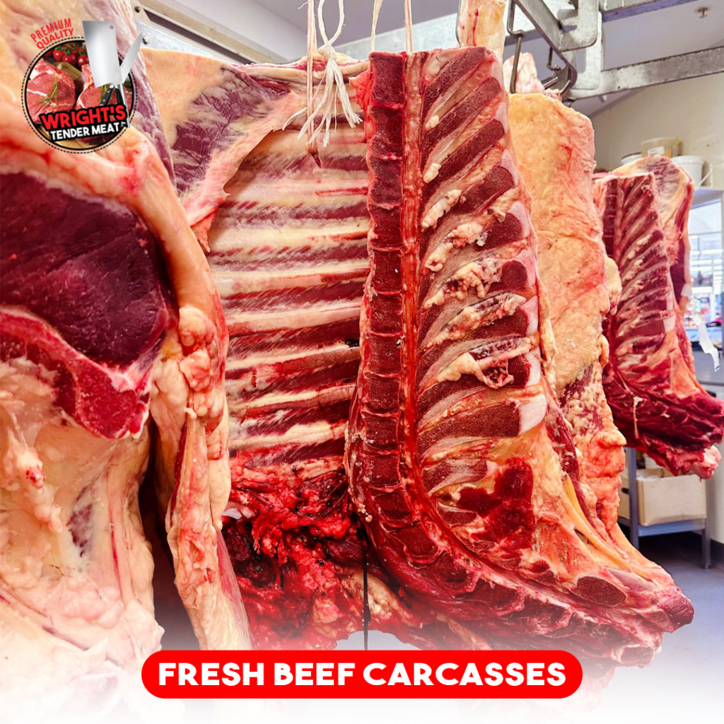 Fresh Beef Carcasses